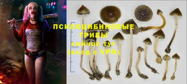 мяу мяу мука Алзамай
