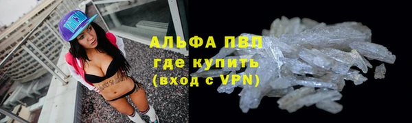 мяу мяу мука Алзамай