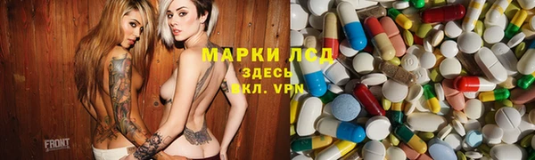 мяу мяу мука Алзамай