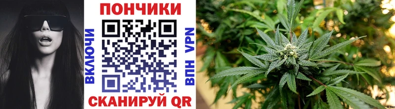 Канабис AK-47 Оса